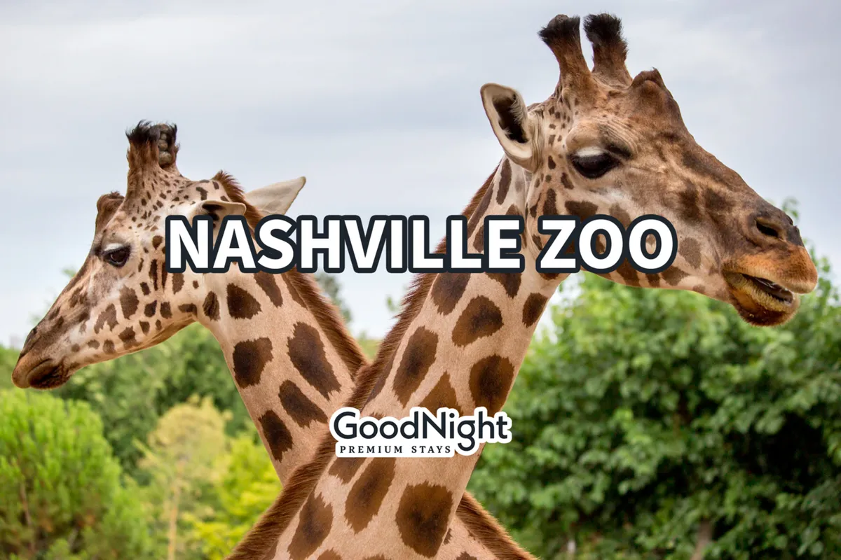 This image features two giraffes standing amidst lush green foliage under a bright blue sky, suggesting a lively and educational zoo environment. Families are likely to be seen enjoying animal watching and participating in interactive, kid-friendly activities.